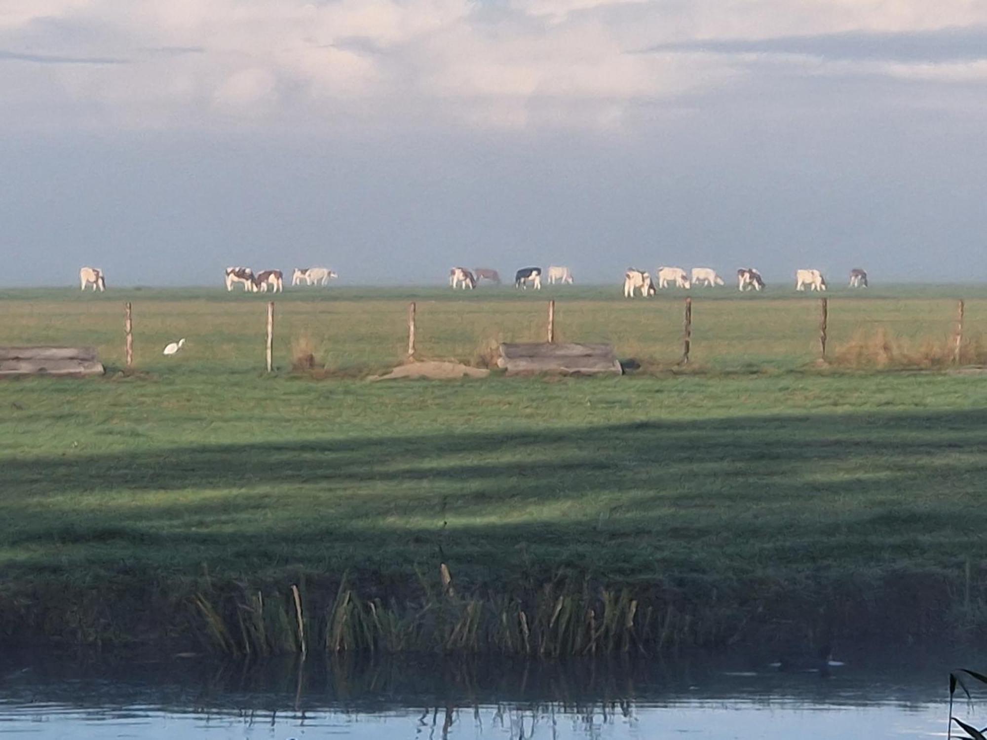 B&B Zusenzomer Oostwoud Esterno foto