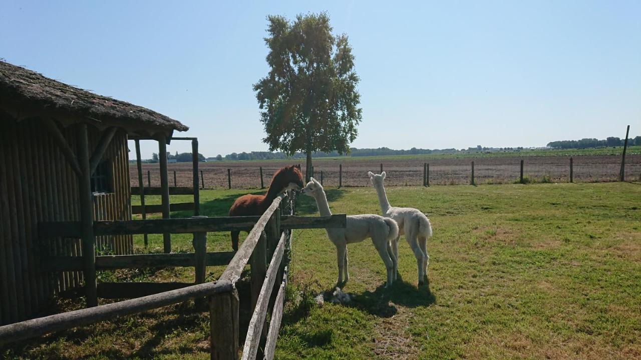 B&B Zusenzomer Oostwoud Esterno foto