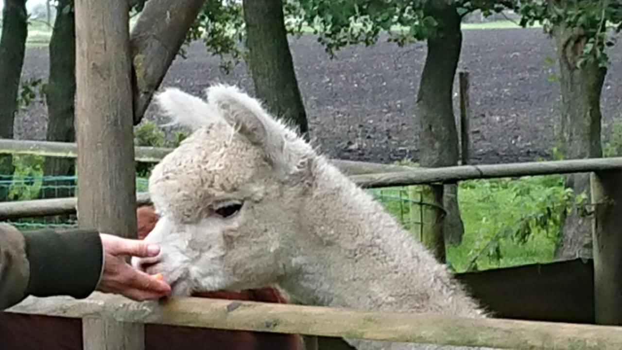B&B Zusenzomer Oostwoud Esterno foto