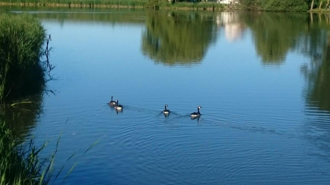 B&B Zusenzomer Oostwoud Esterno foto